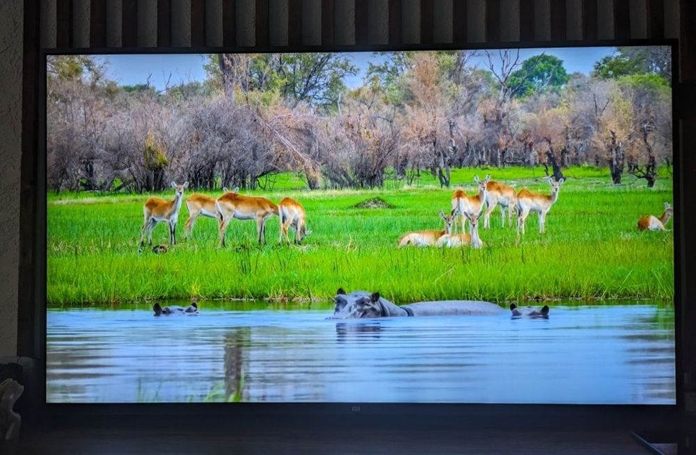 Телевизор Xiaomi Mi TV 4K Android 55 дюймов 4K
