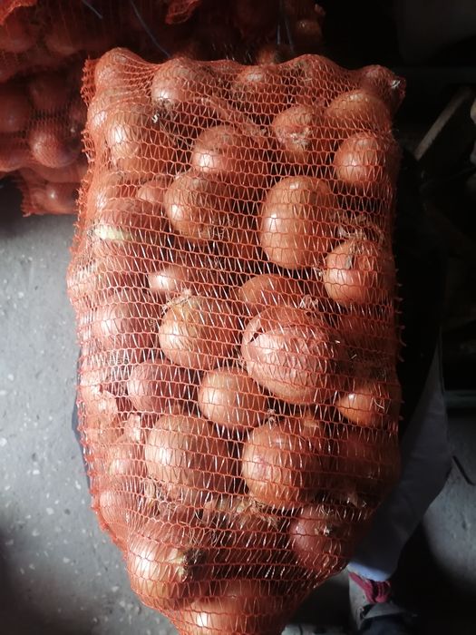 Cebula worek 10 kilo wysyłka inpost prosto od rolnika wysyłka inpost