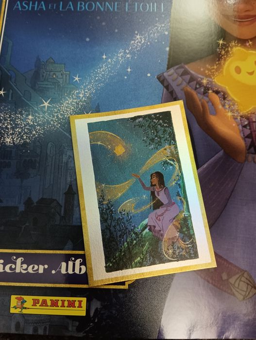 Caderneta Wish - Panini