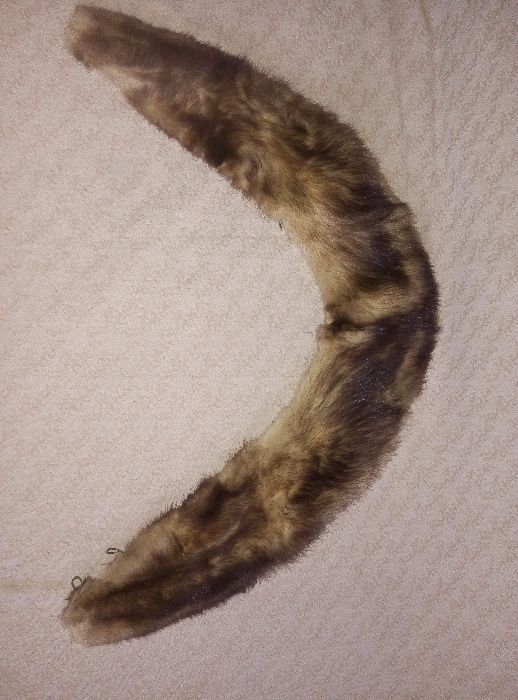 Kołnierz z tchórzofretek