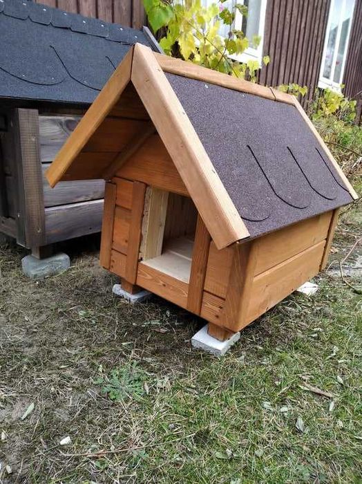 Budy dla małych piesków zapraszamy