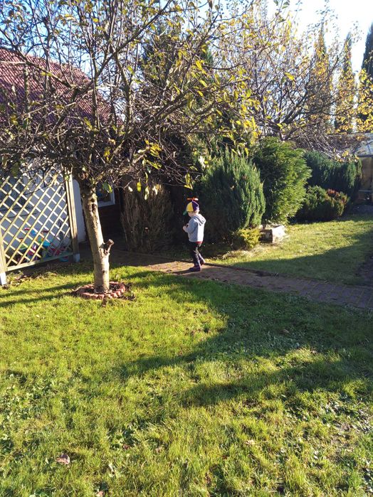 Działka ROD Potoczek Tychy