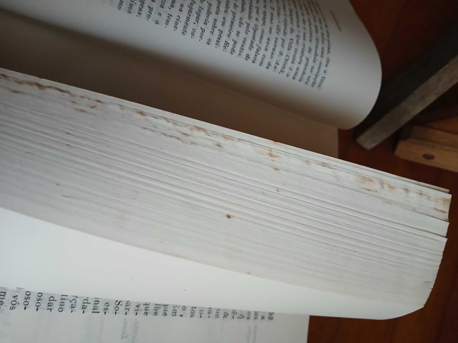 Imagem da Vida Cristã - Frei Heitor Pinto