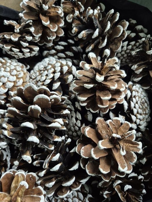 Шишки декоративні, новорічні