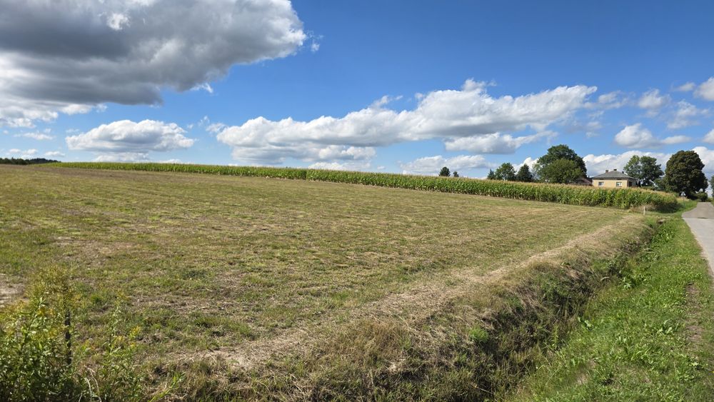 Działka budowlana z warunkami zabudowy 16 A .  Dynów ul. Igioza