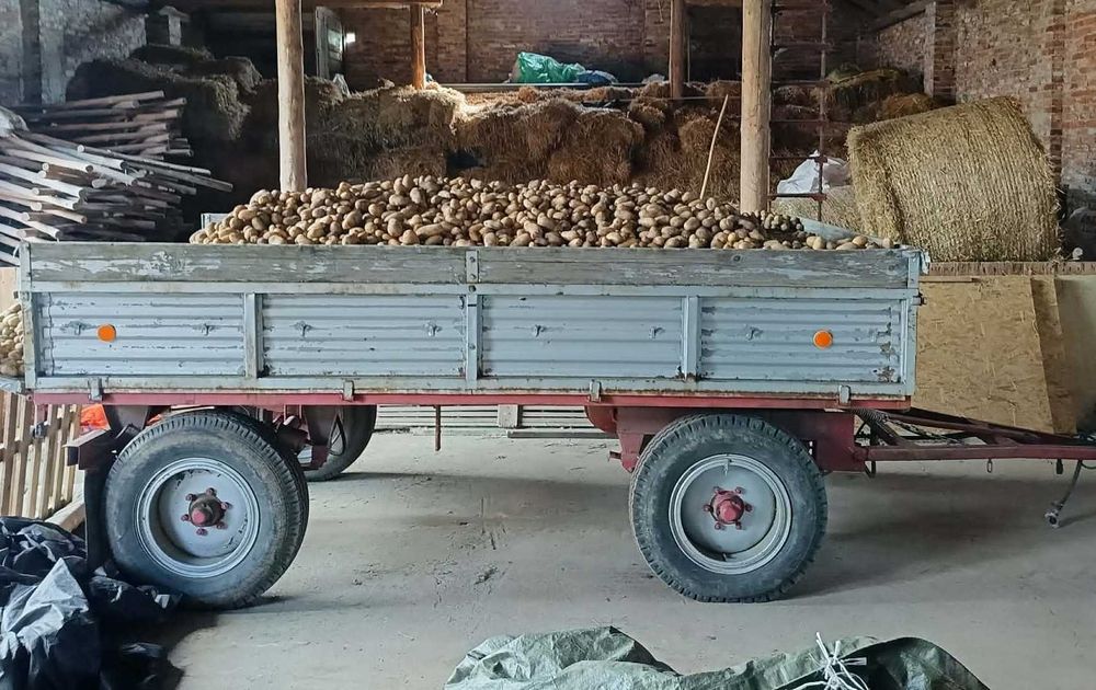 Przyczepa rolnicza AUTOSAN D46A