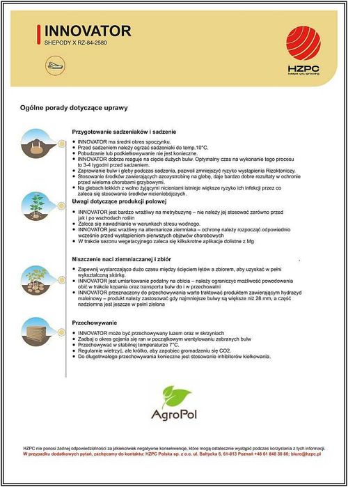 Ziemniak Frytkowy INNOVATOR - Sadzeniaki Przemysłowe Na Frytki