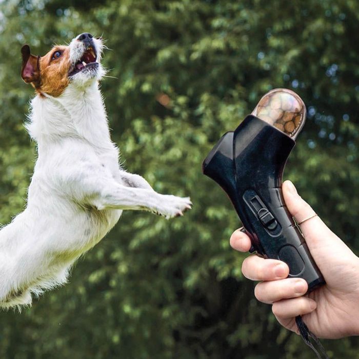 пристрій для метання ласощів для домашніх тварин (pet treat launcher).
