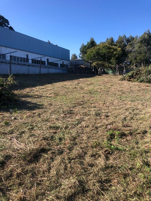 Jardineiro e limpeza de terrenos