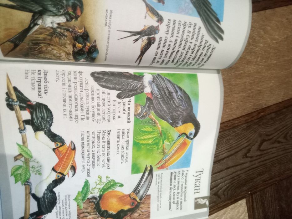 Дитяча енциклопедія