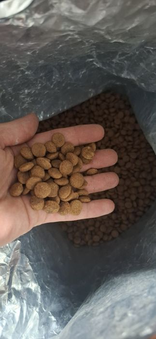 Racao extrusada papagaio