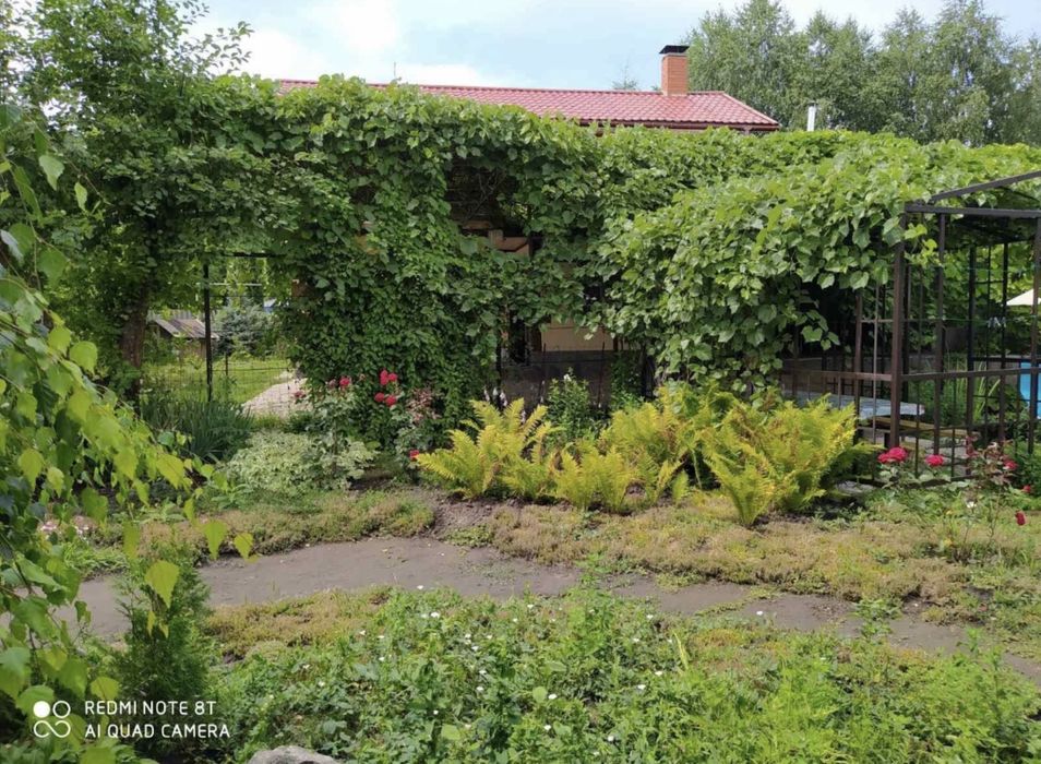 Сдам дом на берегу реки, собственный пляж, баня. Доброполье