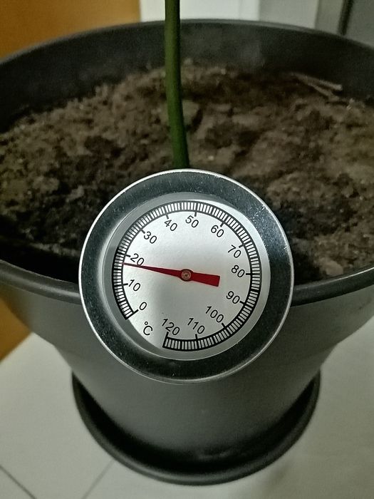 Termómetro para Alambique / Cubas