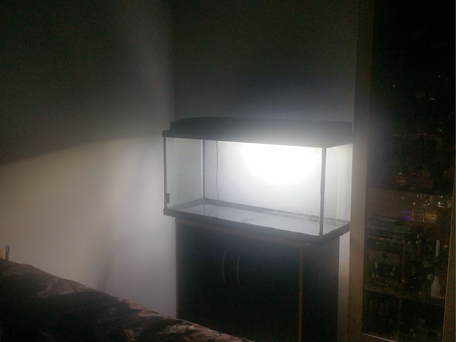 Vendo 3 aquarios e acessórios