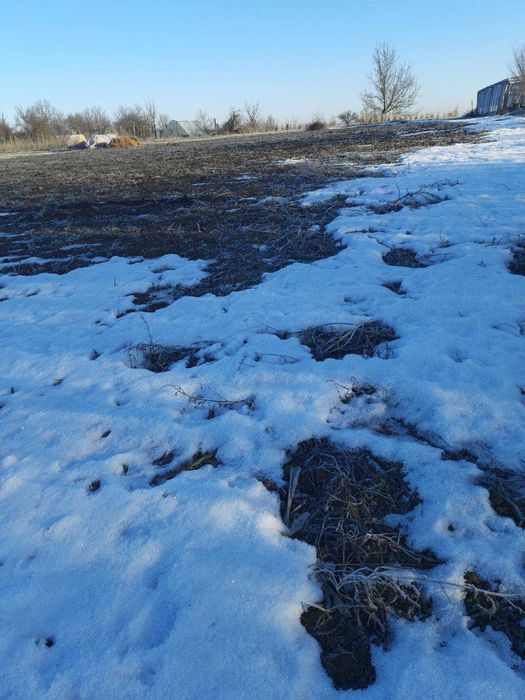 продаж земельної ділянки сільськогосподарського призначення