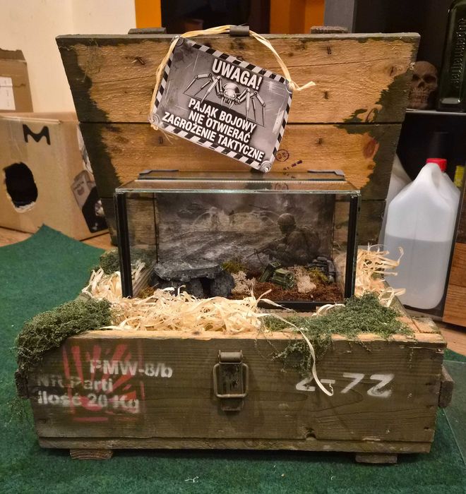 Terrarium stylizowane 30x20x20