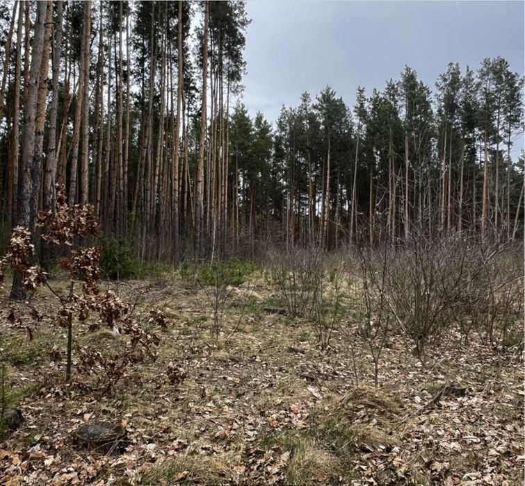 Продаж земельнної ділянки Тетерівський масив