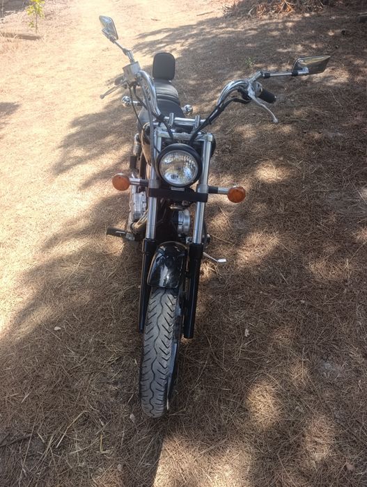 Suzuki LS 650 savage