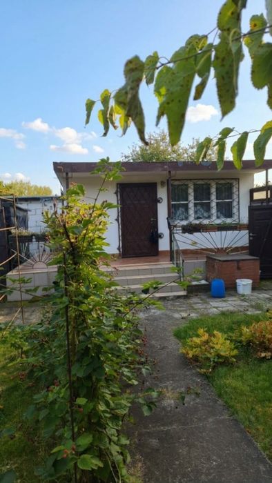 Działka ROD Kujawiak Inowrocław - Widok 2