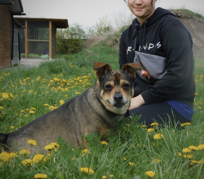 Maly Dasti czeka na kochający dom