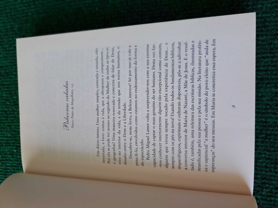 As Palavras Caladas - Diário de Maria Nazaré - Pedro Miguel Lamet