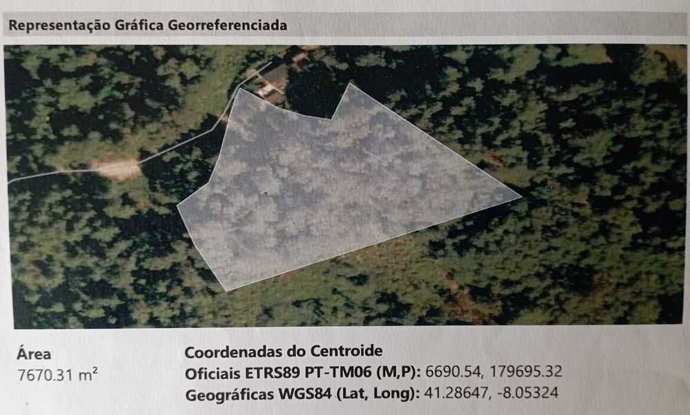 Monte em Amarante