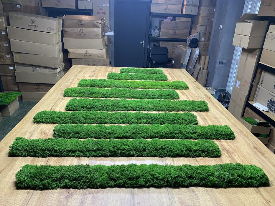 Фитопано з Моху. Панелі з Моху