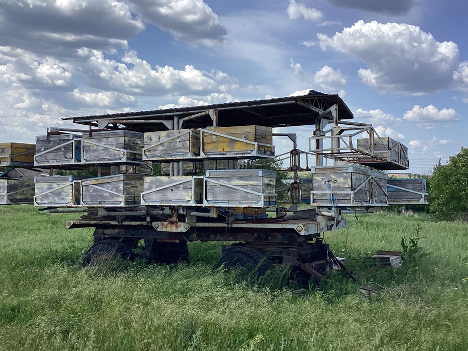 Причепч пасіка заводського виробництва на 32 вуліка