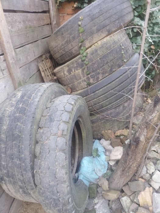 Шини фури для септика