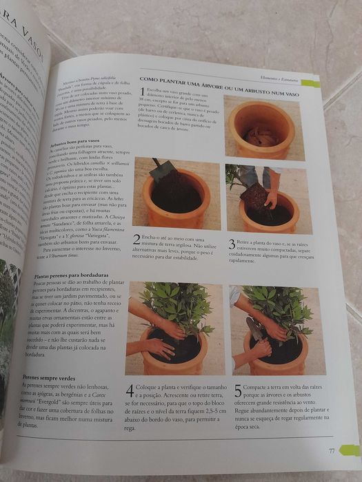 Manual Prático de Jardinagem