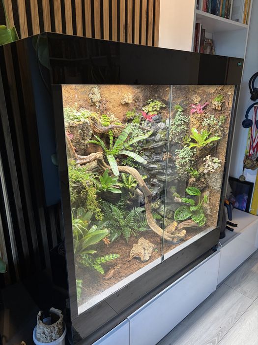 Terrarium/ paludarium/ wiwarium