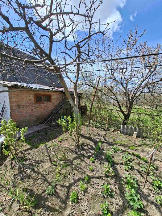 Продам 2-п будинок з ділянкою та гаражем в с.Рибаче 7555