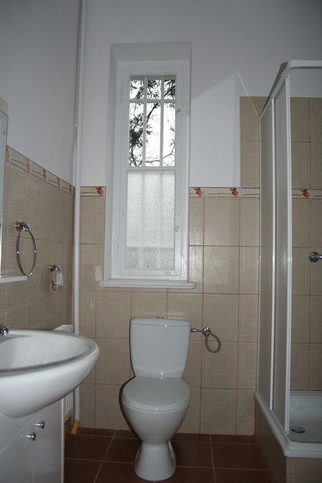 Jeden (dwa) duży jasny pokój  dla młodej   kobiety/studentki.