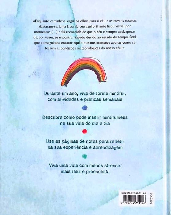 Um Ano A Viver Com Mindfulness