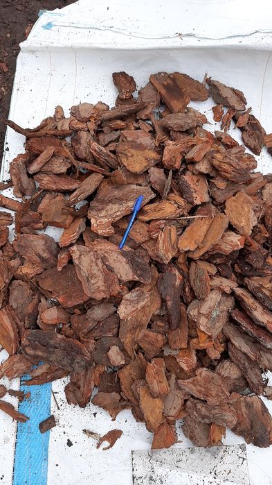 PRODUCENT 80L Kora EXTRA GRUBA sortowana Gruba.,Dostawa Darmowa