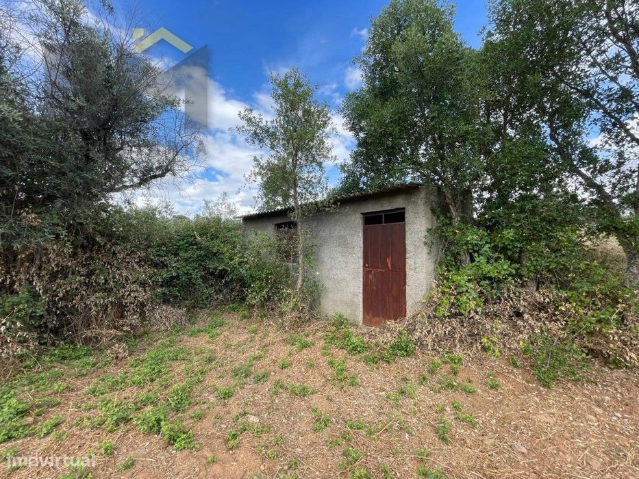 Quinta em Juncal do Campo - 4920m² de pura tranquilidade