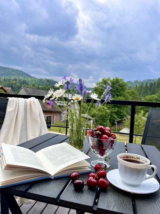 Оренда будинка/котеджа в Микуличин,відпочинок в Карпатах