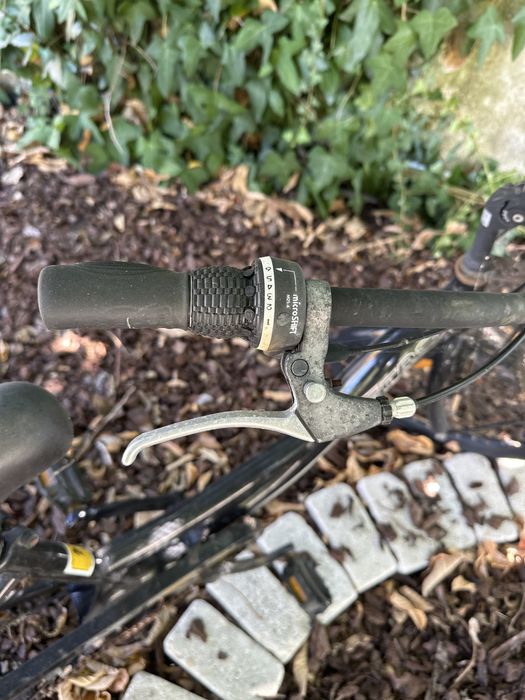 Bicicleta 3 rodas adulto com 2 cestos