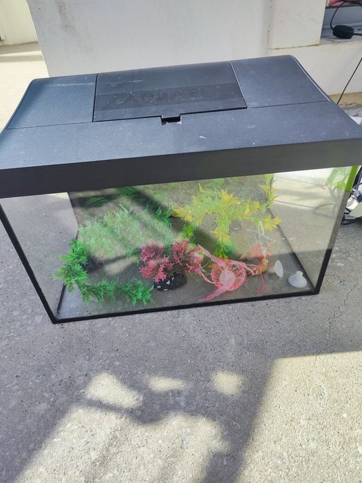 Aquário 25 litros com 3 filtros, enfeites, etc