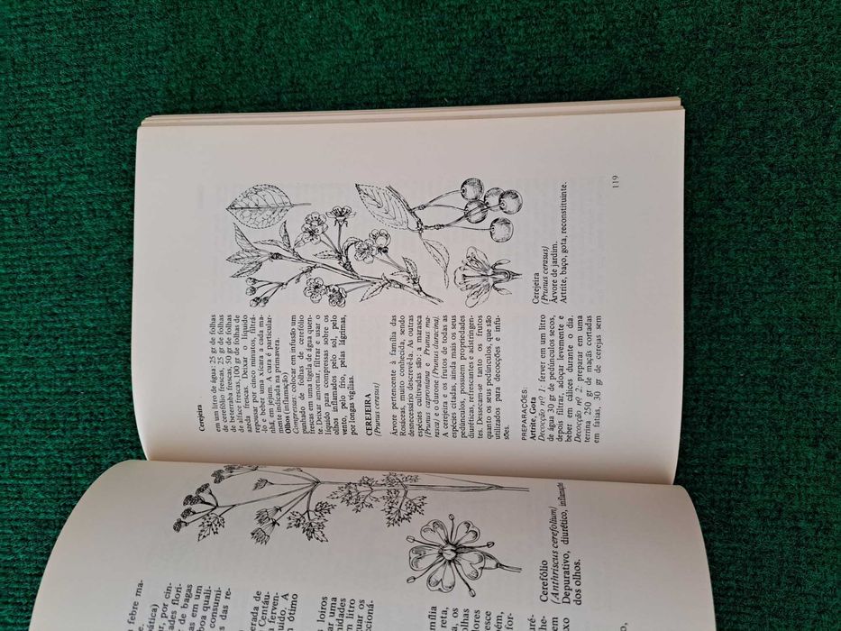 Plantas Medicinais - François Balmé
