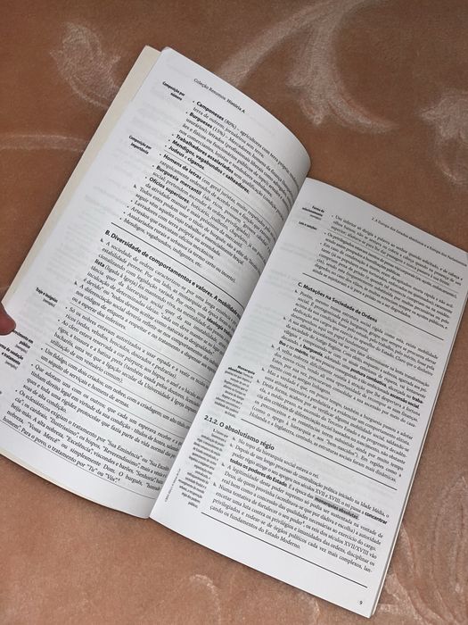 Livro de preparação História A 11° ano