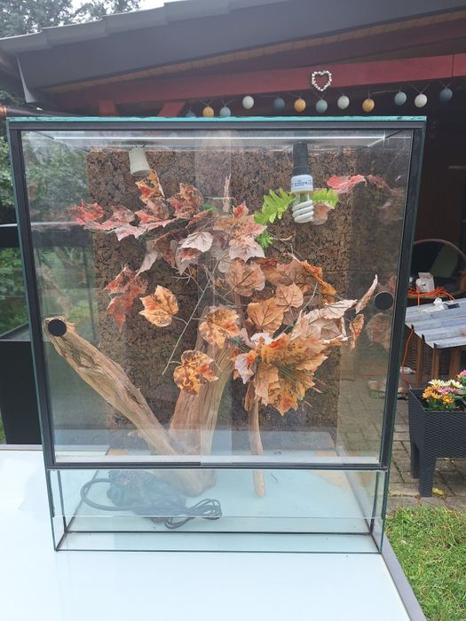 Terrarium 65x40x80 wysokie