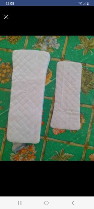 pensos higiénicos e cueca para cadela