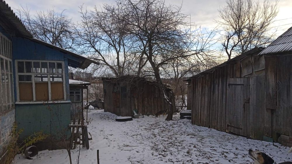 Продам дом в селе Ковяги Валковский район