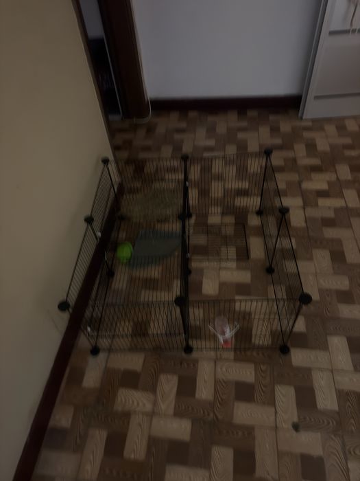 Gaiolas para hamster, porquinhos da india e coelhos