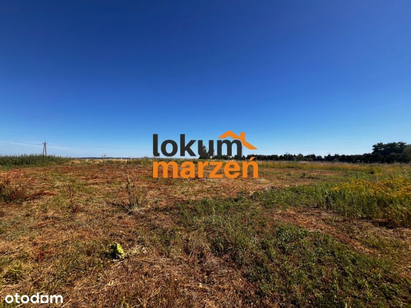 Działki budowlane Wińsko – od 1000 m² | 75 000 zł