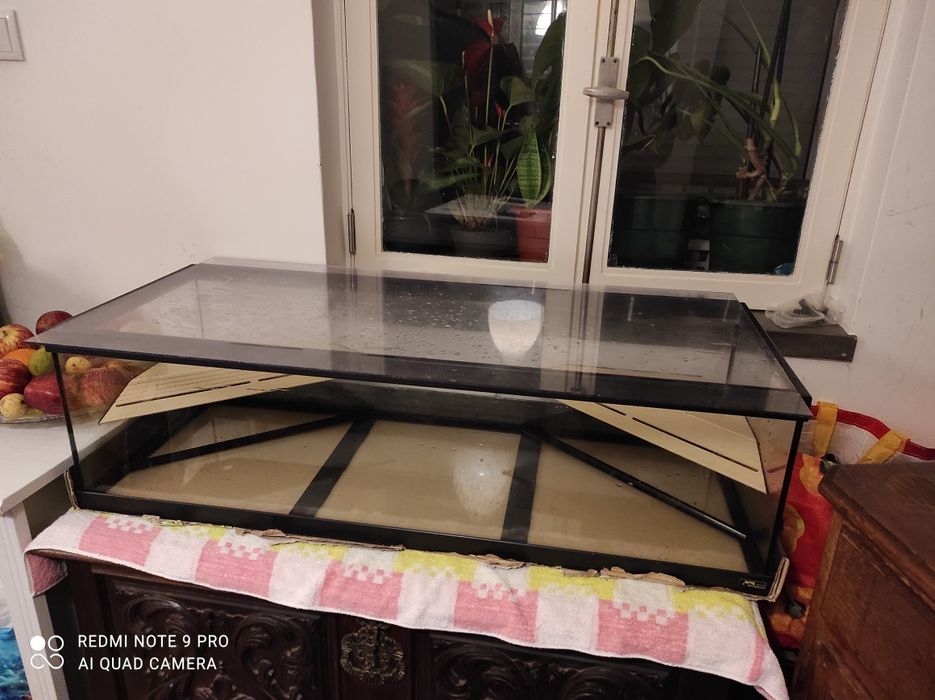 Aquaterrario Tartaruga Gigante (completo)