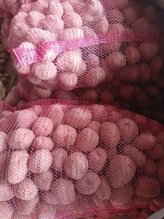 Ziemniaki ricardo,jurki,melody