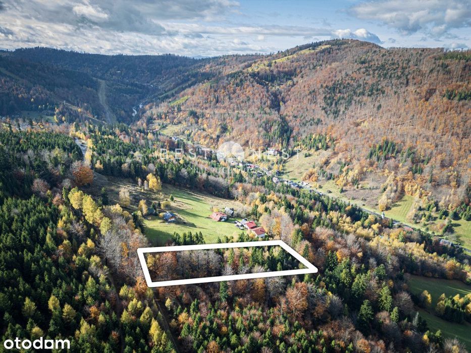 Działka inwestycyjna w Szczyrku