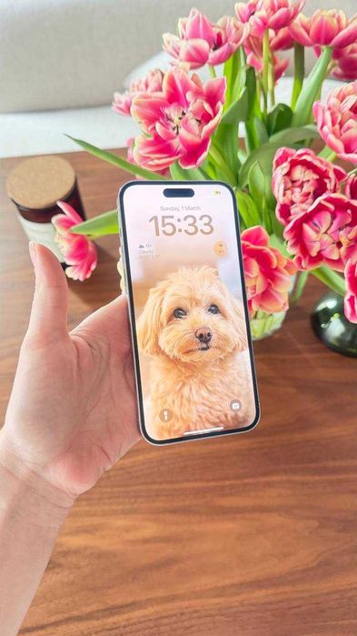 iPhone 14 Pro Max 256 GB Silver / White